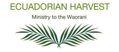 coffee_4_missions_ecuadorian_harvest